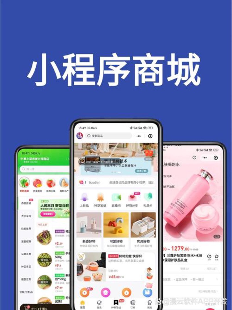 软件开发